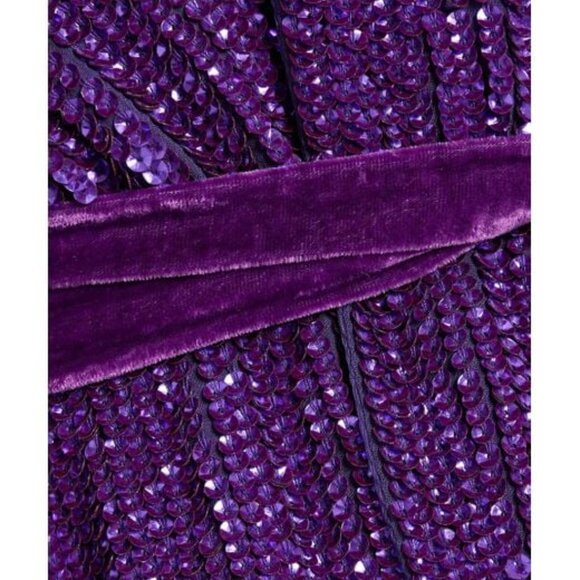 Retrofête gabrielle velvet-trimmed sequined chiffon mini wrap dress, Size M - Picture 9 of 13